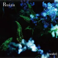 Awake - Ruiza