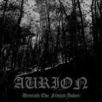 Beneath the Frozen Ashes - Aurion