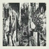 Black Rain Falls - Wren