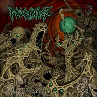 Black Respite of Oblivion - Toughness