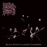 Black Sites in Lower Chambers - Wild Beyond