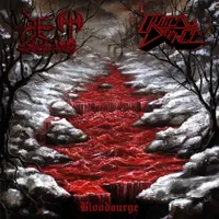 Bloodsurge - Critical Defiance