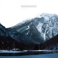 Bonebranches - Bloodbark