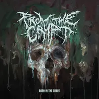 Born in the Grave - From the Crypt