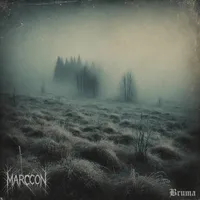 Bruma - Marccon