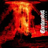 Bukkraken - Carcharodon