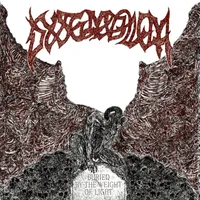 Buried by the Weight of Light - Dysemblem
