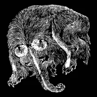Båkü - Båkü