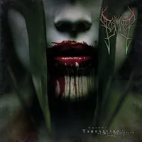 Carnal Tapestries of Nailtorn Flesh - Stormkeep