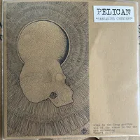 Cascading Crescent - Pelican
