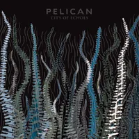 City of Echoes - Pelican