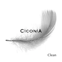 Clean - Ciconia