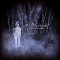 Concealed Silence - Red Moon Architect