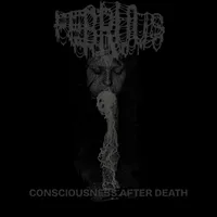 Consciousness After Death - Februus