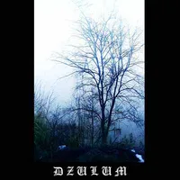 Cosmic Visions of Desolated Souls - Dzulum