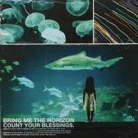 Count Your Blessings - Bring Me the Horizon
