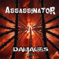 Damages - Assassinator