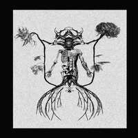 Deadlights - Harvest of Ash