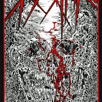Deadly Intrusions - Skumstrike