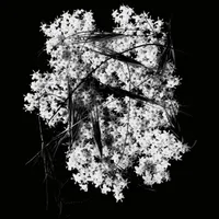 Deathly Silence - Membrane