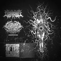 Decapitation of the Eye-Bearing Succubus - Decomposition of Entrails