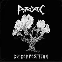 Decomposition - Pythonic