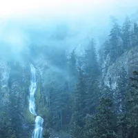 Diadem of 12 Stars - Wolves in the Throne Room