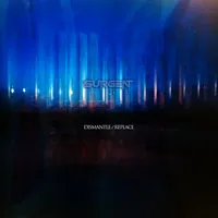 Dismantle / Replace - Surgent