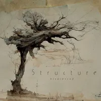 Disordered - Structure