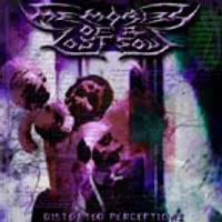Distorted Perceptionz - Memories of a Lost Soul