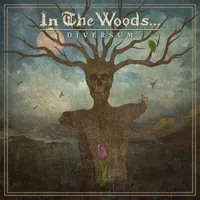 Diversum - In the Woods...