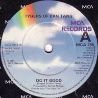 Do It Good - Tygers of Pan Tang