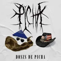 Dosis de picha - Picha