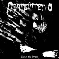 Down the Drain - Nymphrenia
