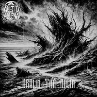 Drown the Dawn - Alltid Allena