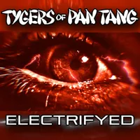 Electrifyed - Tygers of Pan Tang