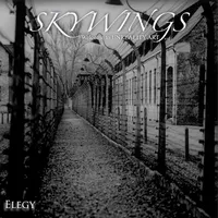 Elegy - Skywings