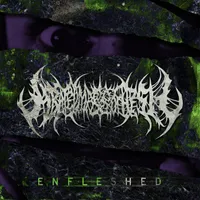Enfleshed - Abated Mass of Flesh