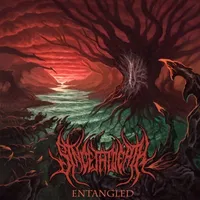 Since the Death - Entangled