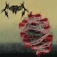 Evisarize - Evisarize