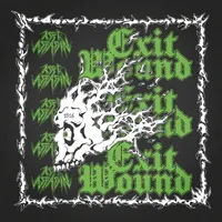 Exit Wound - Assi Assassin