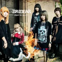 Expose Your Emotions - Bridear