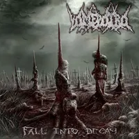 Fall Into Decay - Vomepotro