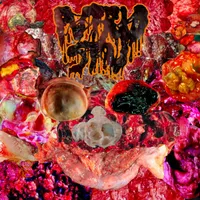 Fallopian Tomb - Putrid Stu