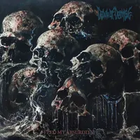 Feed My Absurdity - Dawn of Demise
