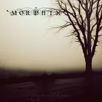 Finding Bliss Amidst the Darkness - Morphin