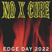 Firestorm - No Cure