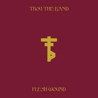 Flesh Wound - Troy the Band