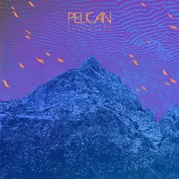 Flickering Resonance - Pelican
