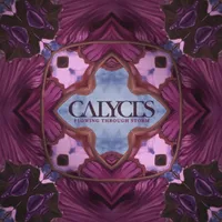 Flowing Through Storm - Calyces